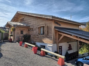 Appartement cosy aux Carroz, 40 m², vue sur la montagne